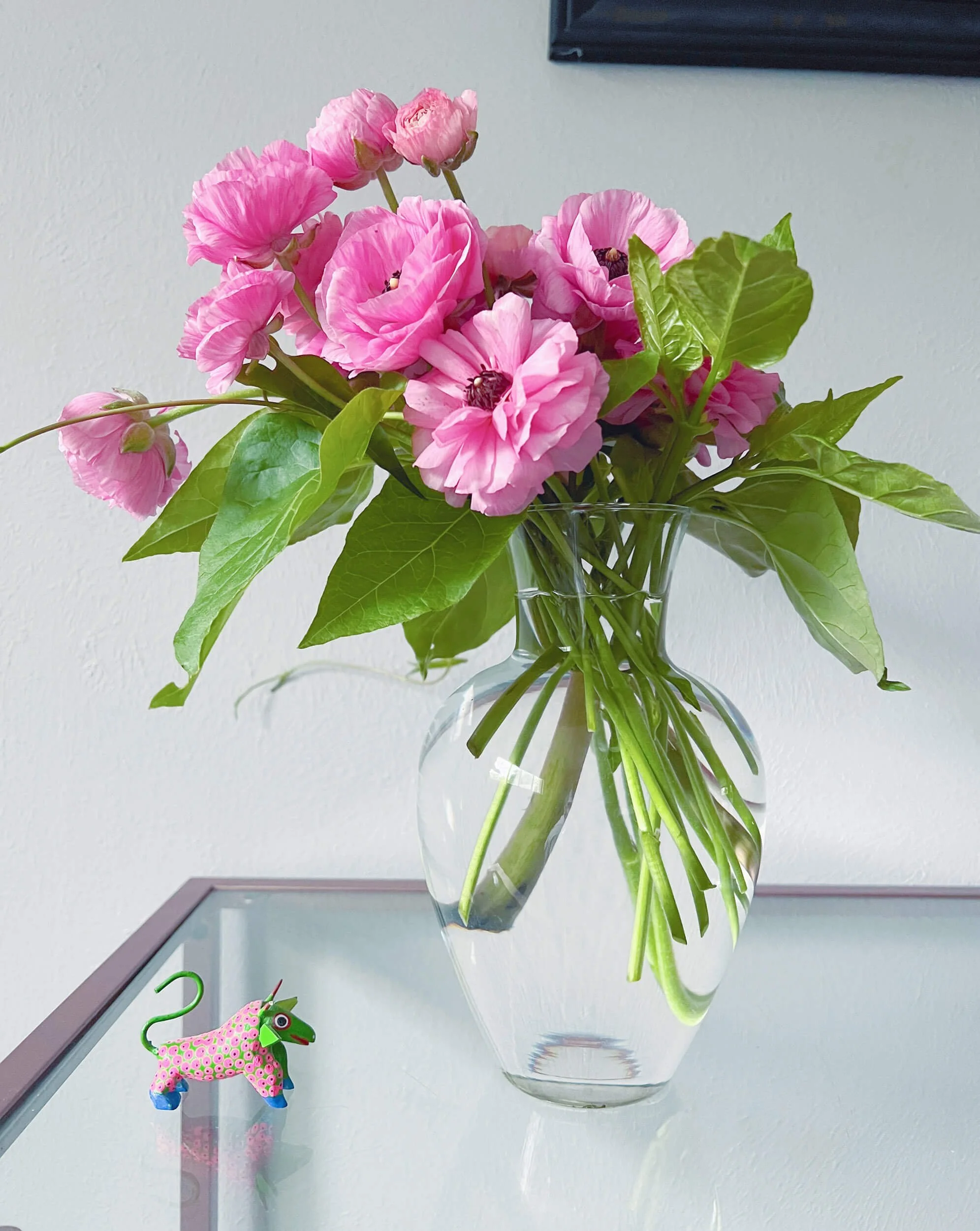 Ranunculus Joy Max Mix 2024 — Joy Max Jardín